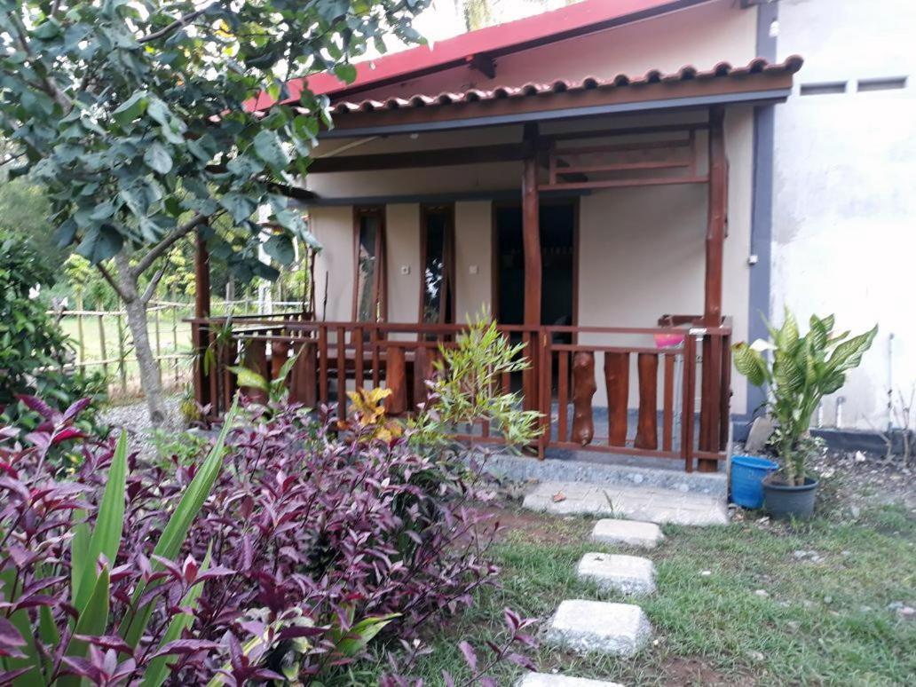 Red Island Bungalows Pasanggaran Quarto foto